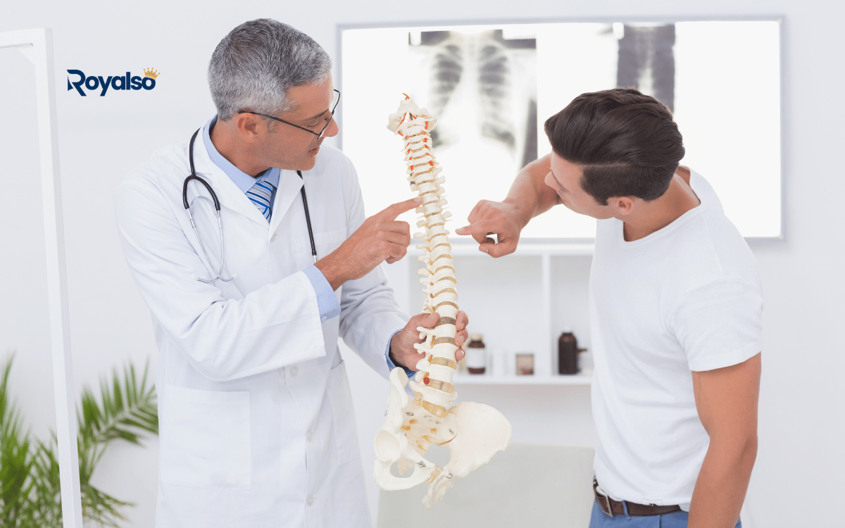 Chiropractor digital marketing SEO and appointment booking website by Royalso Chiropractor digital marketing SEO and appointment booking website by Royalso